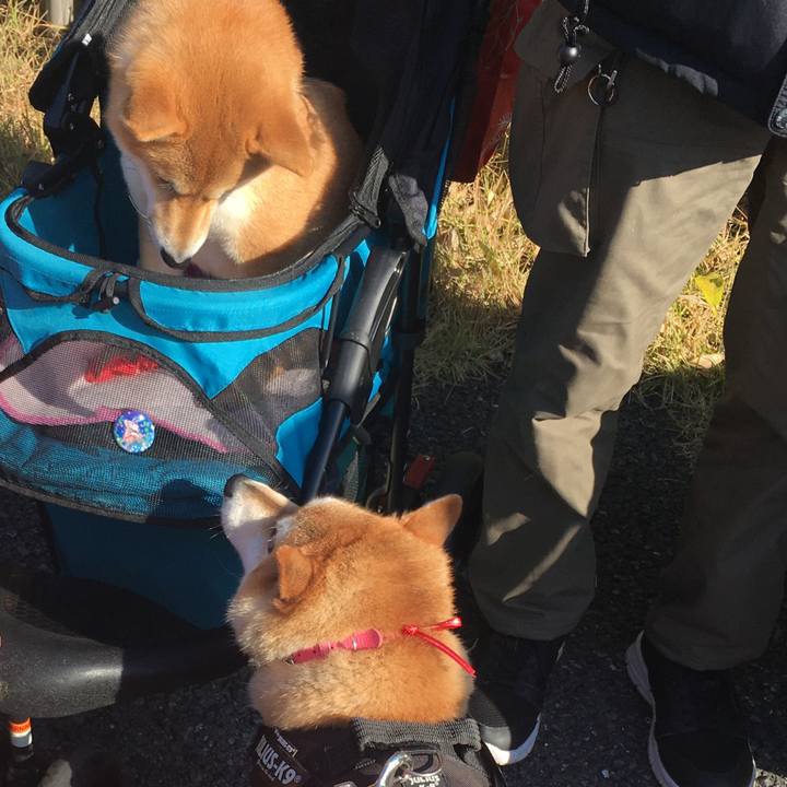 B34549f7 e32b 4250 bd9e b98b1a698d67 1575195963998