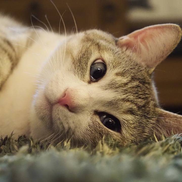 B3456f1f c051 45b2 b48b 7c03396e4544 1615817591342