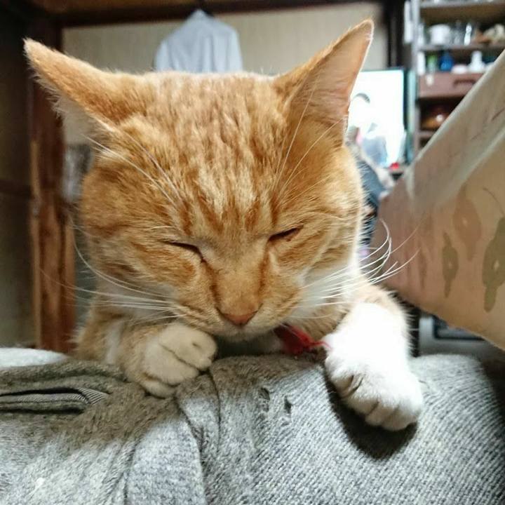 B34638c5 cd36 411d 846d caf136a32dd9 1575237641844