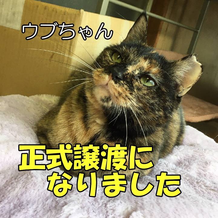 B3464de7 b875 49cc aea1 777d11542a26 1583375912157