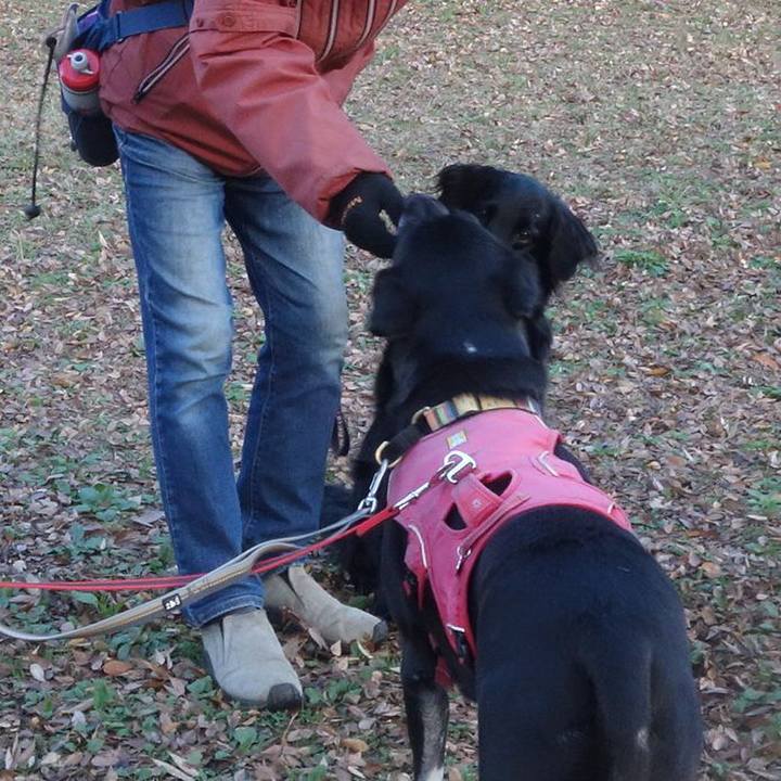 B346640a cb41 4f67 82d1 0c9ab0caee3b 1700870096170