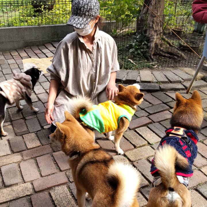 B346b628 e1b6 4b23 b407 d1f468fc3924 1637491812158