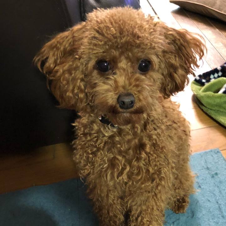 B346e819 ef24 4450 acb8 c2f1c6dd4b62 1518602151100