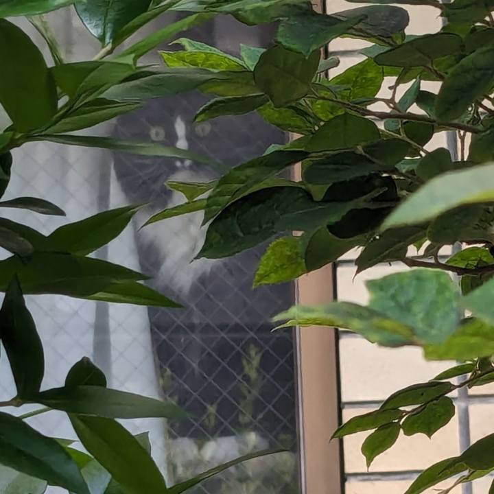 B3470820 8701 4f3a 88d3 13f5c56bd31a 1715724879728