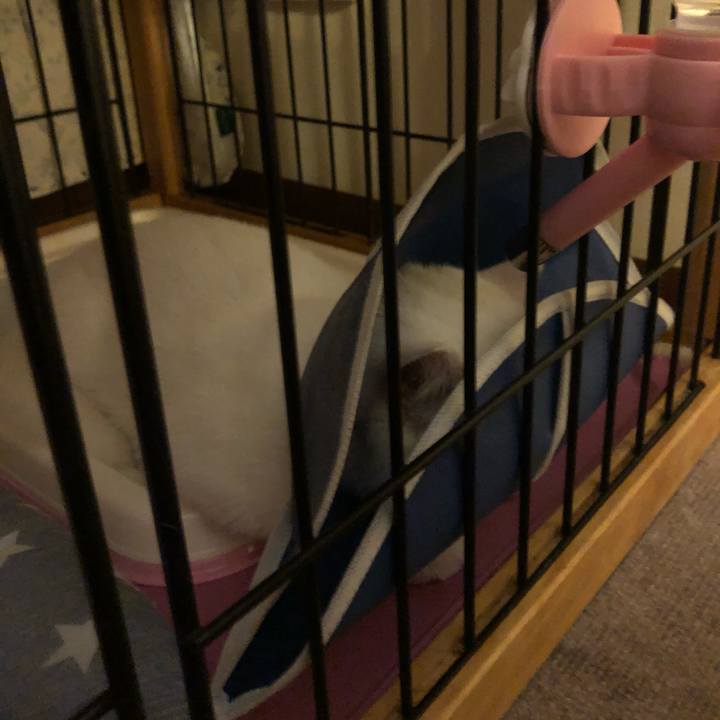 B34750d3 992a 428f 95e4 9133f9a0b991 1560434427209