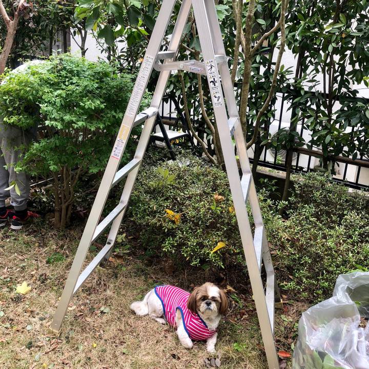 B3476df0 ac5d 4f03 869a 3e45690115a2 1525401189843