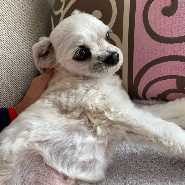 B347913f 36a3 4e74 96bc c4fad2819b63 1638618101917