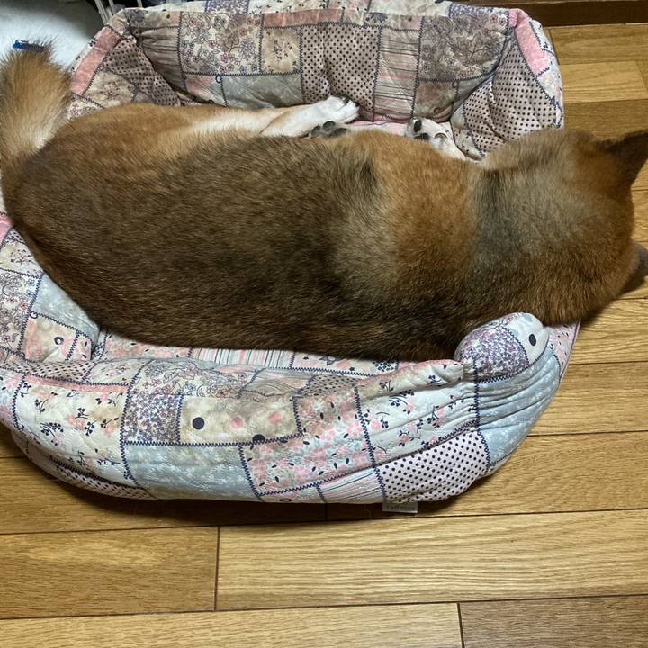 B347c52e 92f2 44cd 9d28 be2b74cede43 1663930076548