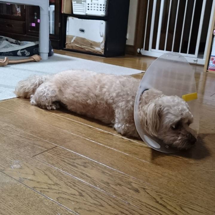 B347f076 9772 457d a159 9a17effd329d 1591438654049