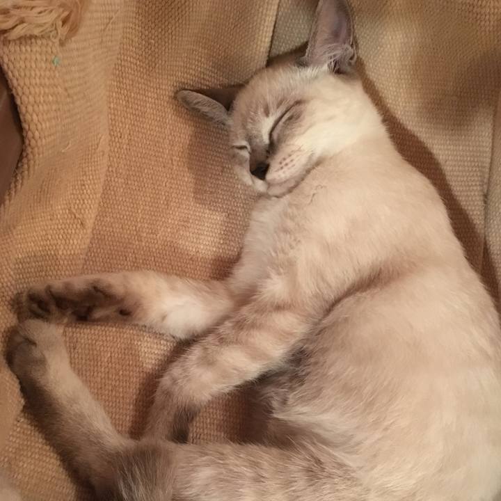 B3480abd b492 4dcc 8689 bc723e9bc852 1537524093286