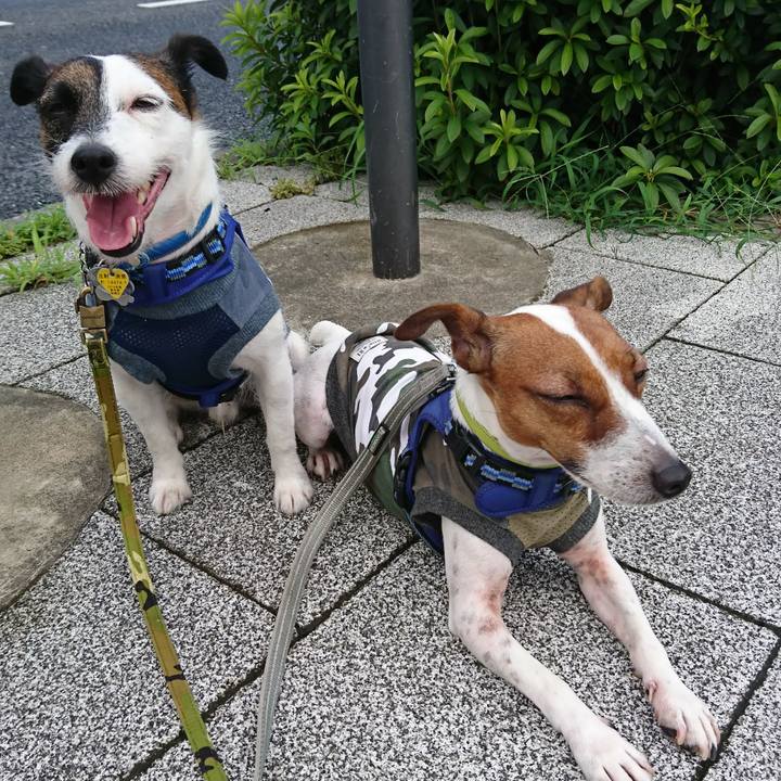 B34811f7 4aa0 483f 93da 3a50c338d718 1564183264379