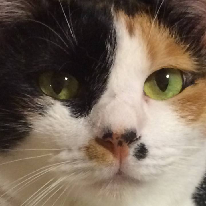 B3481830 fb76 4571 a298 52853d6a83fa 1605174408273