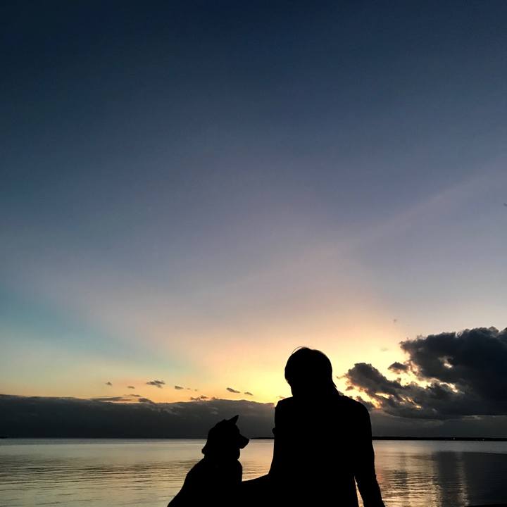 B34841aa 833a 4311 8422 6b426c4e7a3d 1512898066526