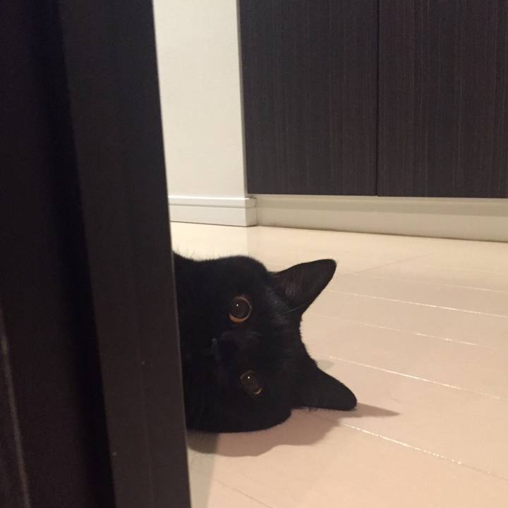 B3485be9 b795 472c 962d 937db5decc3d 1537963217366