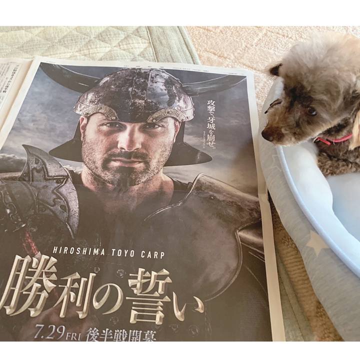 B3487d72 27a6 4ba6 be98 0034e19d1e74 1659046181871