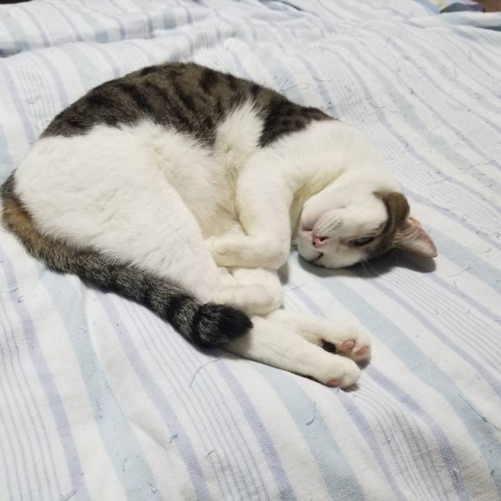 B34886d9 034b 4859 b8a9 f3819a668c4d 1605961935619