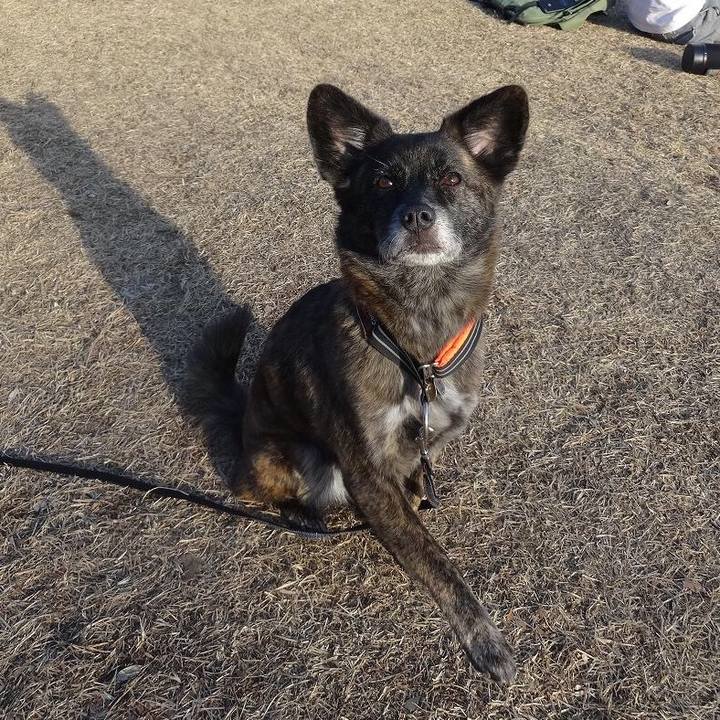 B348bb0c c2d3 4334 ac7c 5148d142e6e8 1547598818155