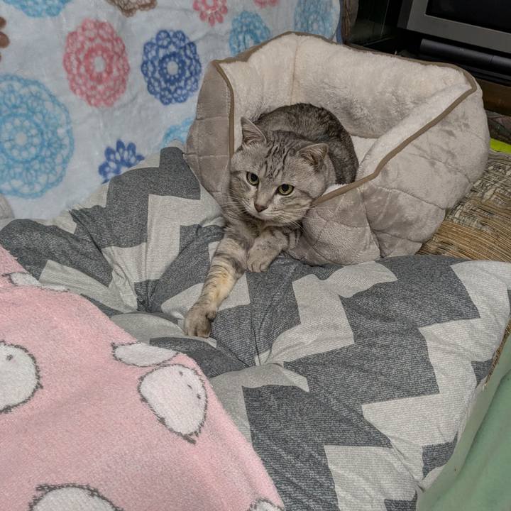 B348e7c2 d106 4888 9a75 2473174e7d65 1761911690357