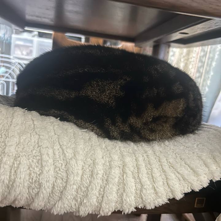 B348fbea b4d0 4b10 9801 267f32b4b1b9 1769724135655