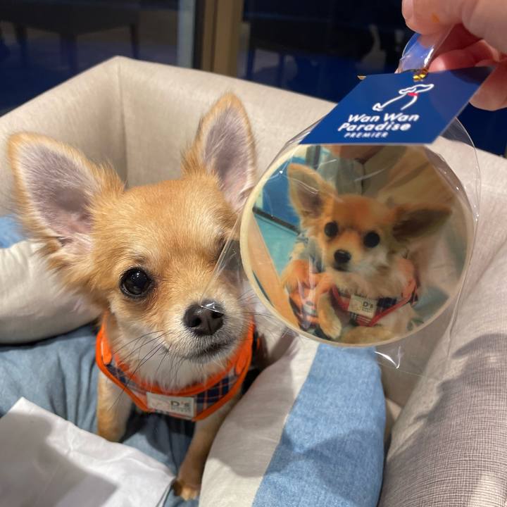 B3491028 0cfd 4fed 9042 039f6baa2a67 1772928429949