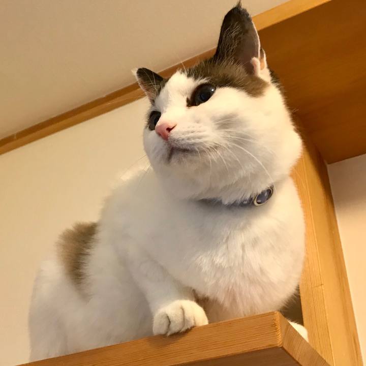 B3491b6a 02f9 45d9 945f 89ec0b83f45c 1578547929116