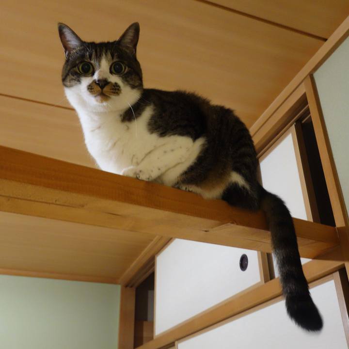 B3491e80 7ea2 4730 ba4f 84a1ac0ec91b 1759121028217