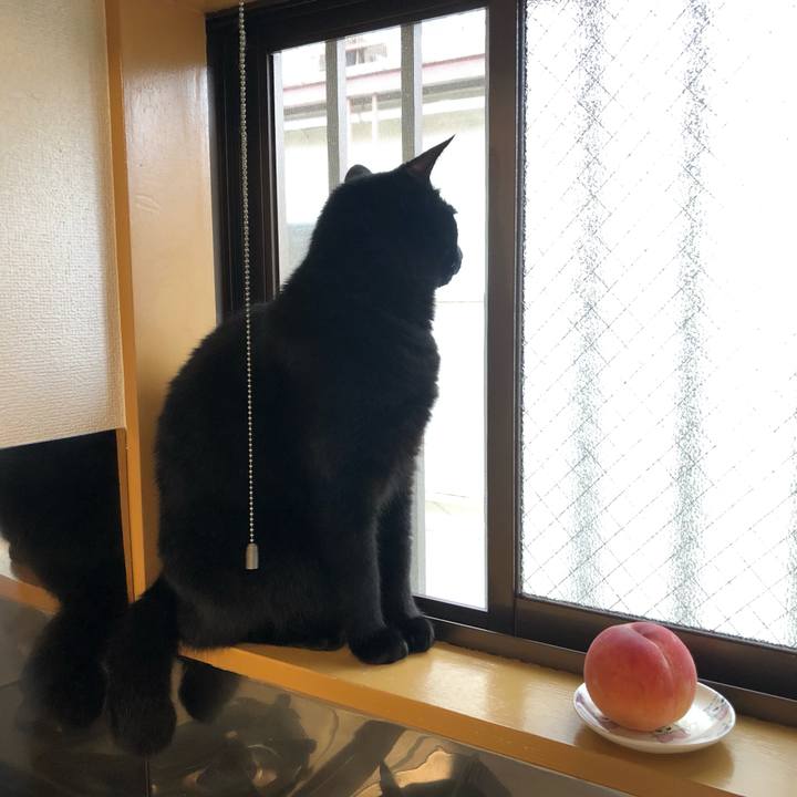 B3493f1f a3e0 4b1f 8e8e 20fff063b8fe 1566435596913