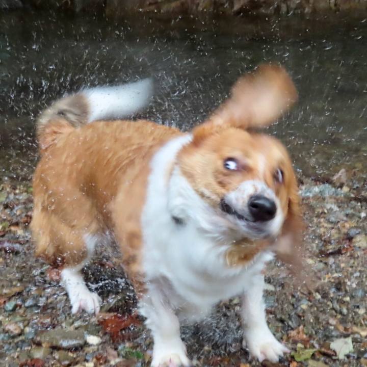 B3496276 d5d7 4d8d a847 4260bc571219 1632269784237