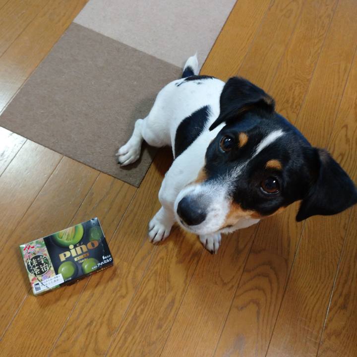 B349770a 295a 4692 9610 d9c620033983 1561435272506