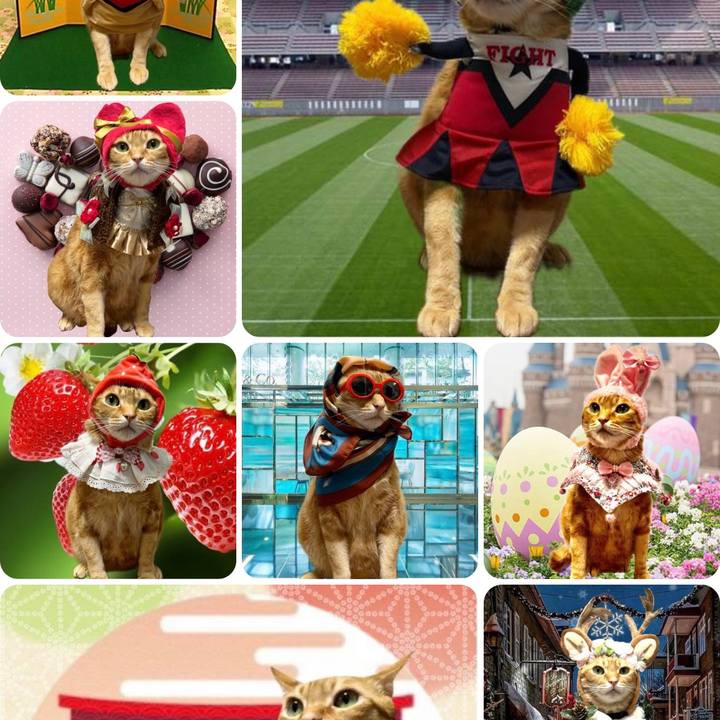 B34979fe ed60 4368 a358 e194b7ff653e 1662162348260