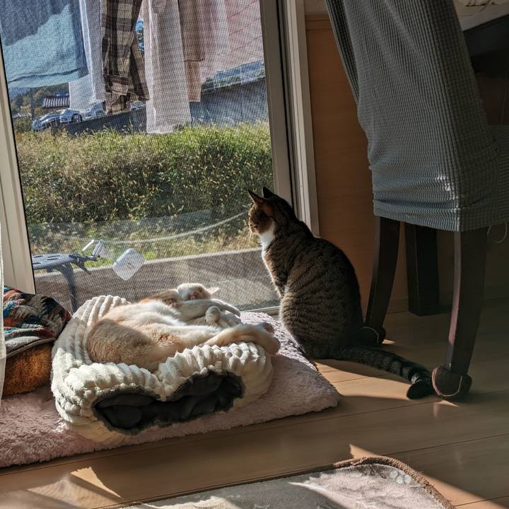 B349a4e9 f15a 4191 9ec5 218f3a7aa4ca 1698624086247