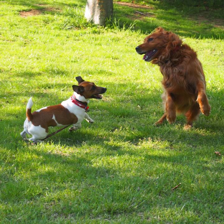 B349ca08 e27d 42de 8778 fcbbcc56b757 1525217833872