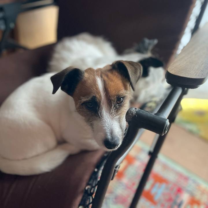 B349cc85 d6d4 4f07 a713 9fec35113b43 1772516246395