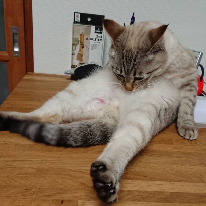 B34a1096 b592 43d9 9237 f4bd8e3e5dbb 1517919285969