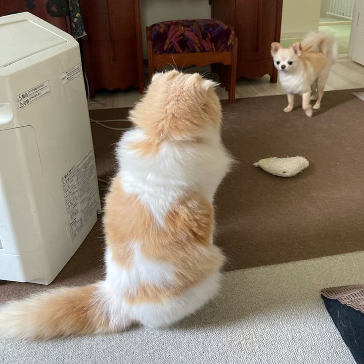 B34a10ce 0842 476b 9e4d f87a8d6e50c5 1659097399486