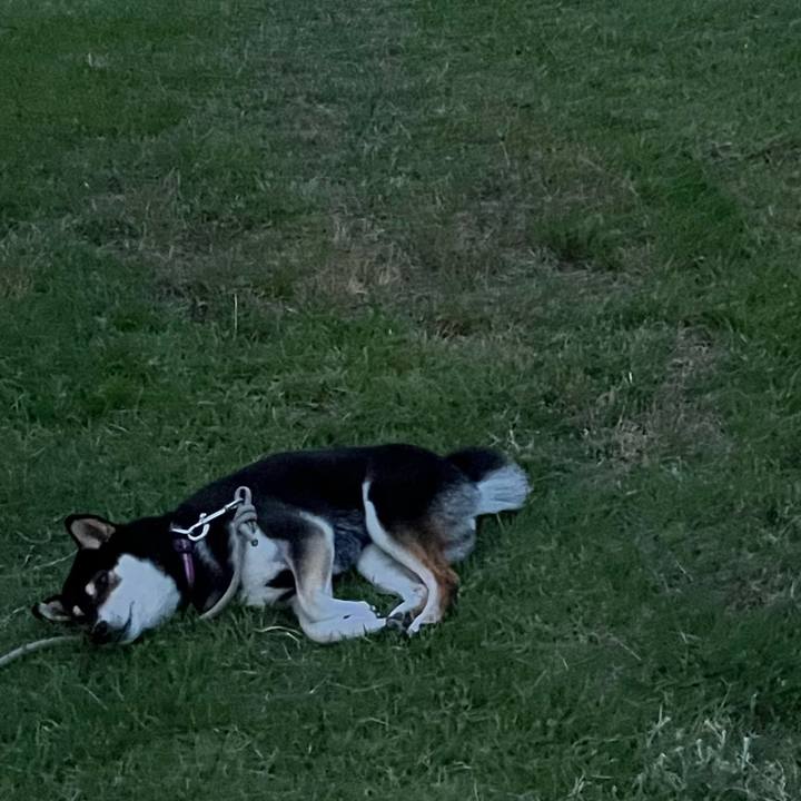 B34a8664 a1c2 411f 8099 d5398381de1d 1655997892613