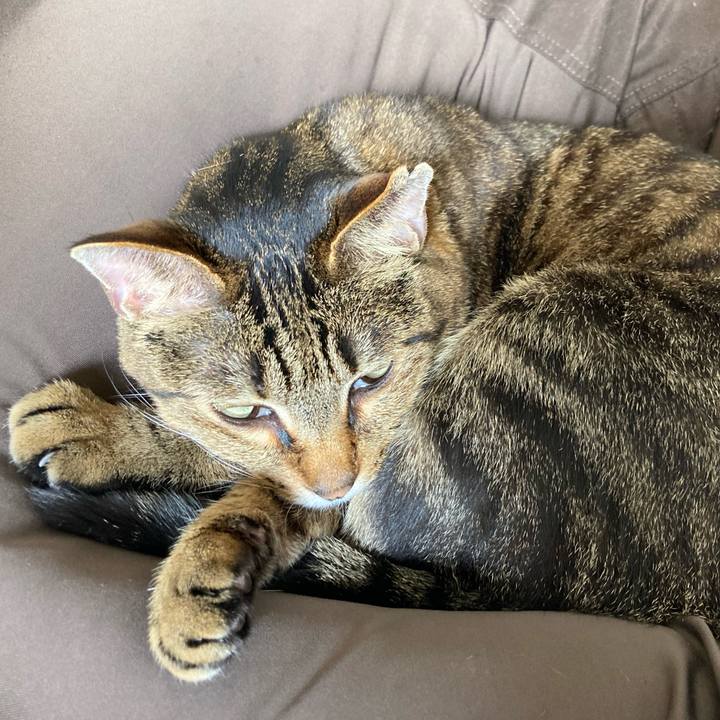 B34ad742 1546 4c9a 8c9a cbc94813c894 1619236667719