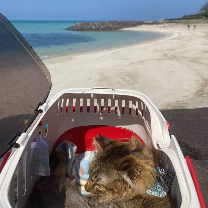 B34ad864 39ec 4449 ac5c 9af378da9e6d 1711941443320