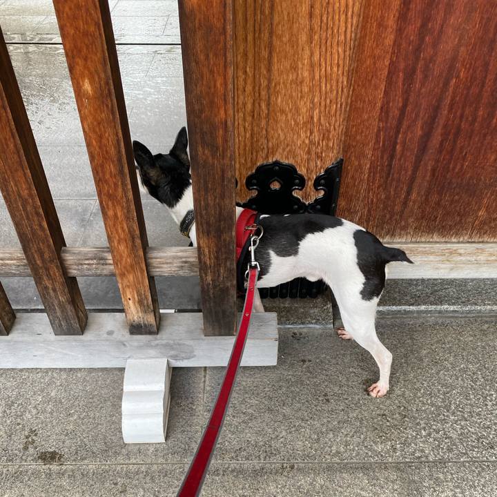 B34ae523 a9ec 4053 96b2 8e19128112f3 1589856031990