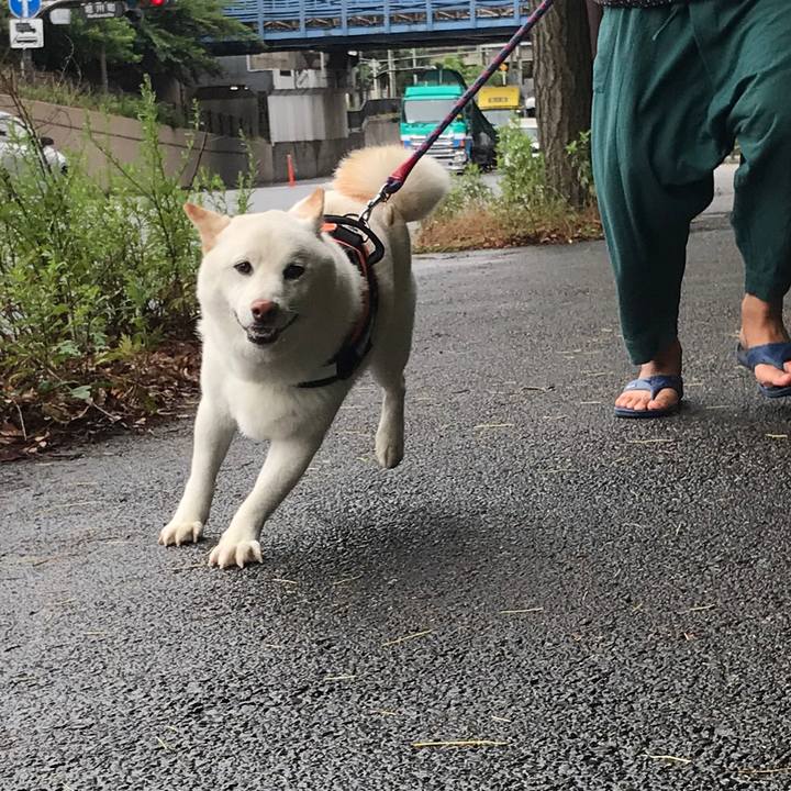 B34af461 ee9f 4e6d b8e9 7378d7f16700 1529027907718