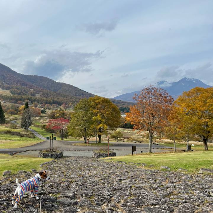 B34b0ceb 374c 4ae9 b4e9 67aa860d1912 1635748770780