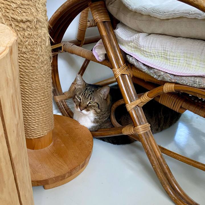 B34b2a57 d4ec 4758 a43c f13af5359d06 1757226001321