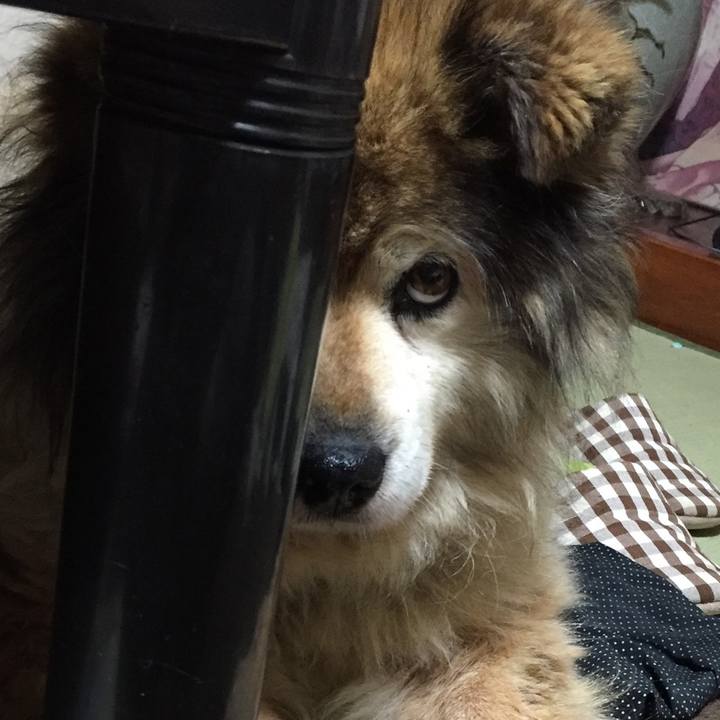 B34b4df0 632e 483b bfe7 f82e4bed4899 1594344142379