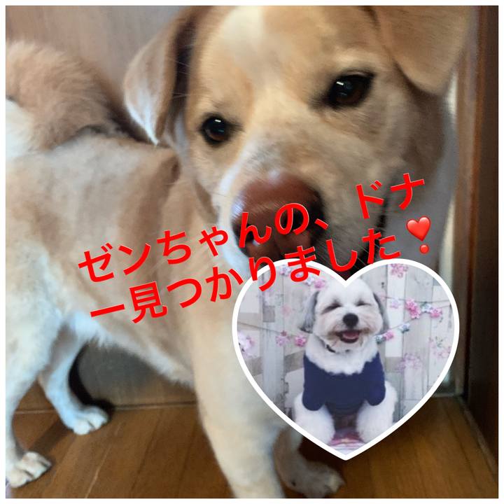 B34b4e92 00ee 4c96 81cc 7a8084f81c6b 1585664320367