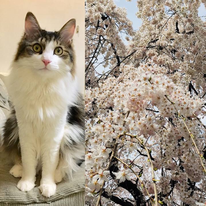 B34b92d2 5133 4c15 9732 f0163f14afb2 1522025190167