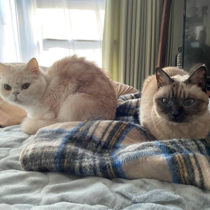 B34b9a72 5a23 4cec 812e 9a0d3212ccf4 1763547587985