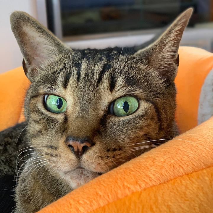 B34babc0 0894 45fd 85e5 ca105d3ee610 1558658920858