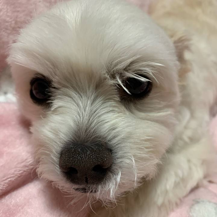 B34bd6e0 d981 4be3 8eae 5b8b4c4dfadb 1585738370098