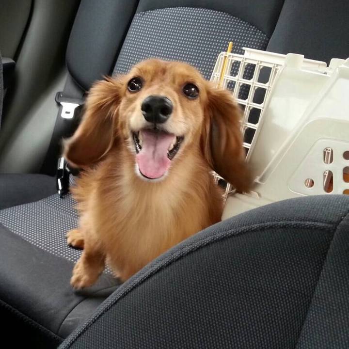 B34be5c0 4418 415c 903b d2f523fa831e 1511908570499