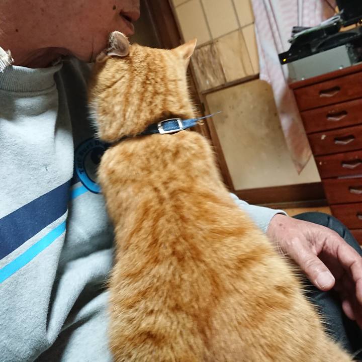 B34bef9e 4000 434d 936f 7655f39f1ca8 1605388155726